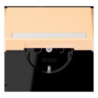 Jung LC1520BFNAKL223 SCHUKO-SteckdoseKI mit Klappdeckel mit S