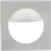 BEG Brück Electronic Zentralplatte reinweiß 39222