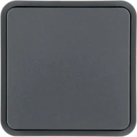 Berker Wippe für W1, 1-fach, grau 6130763545