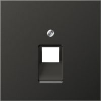 Jung Abdeckung anth für IAE/UAE-Dose AL 2969-1 UA AN