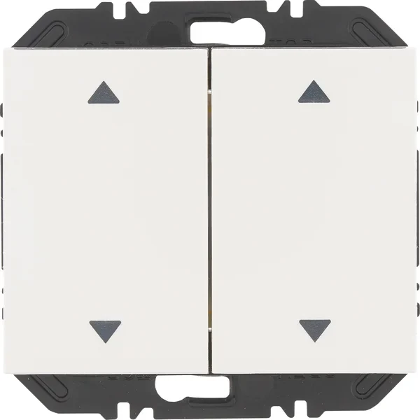 Berker Modul Wippe 2-fach Aufdr. K.1 polar weiß 24127209