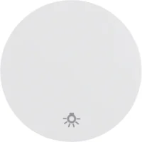 Berker Wippe pows/gl mit Aufdruck Licht 16202079