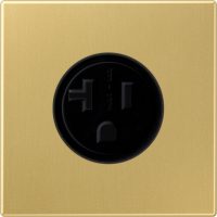 Jung Steckdose US-Norm NEMA 20A 125V,Me. classic ME 2521-20 C