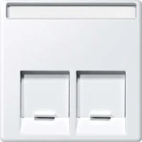Merten Zentralplatte 2fach polarws gl MEG4574-0319