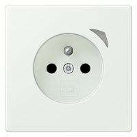 Jung BT LC 1521 F SE 210 JUNG HOME Steckdose Energy französisch/belgisches