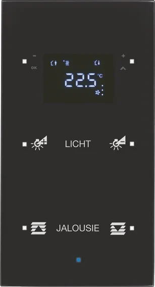 Berker Berker Glas-Sensor mit Raumtemperatur. 75642135