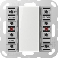 Jung Tastsensor-Modul 2fach AC/DC24V 2-k. 4Sp. A 5224 TSM