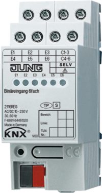 Jung Binäreingang 6-fach REG AC/DC 2TE 2116 REG