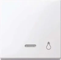 Merten Wippe Kontr.Fenster aws/gl Aufdruck Licht 435925