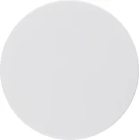 Berker Zentralstück pows/gl für Drehdimmer pows gl 11372089