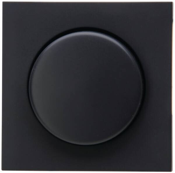 Kopp Kopp 490615005 AbdeckungDW Dimmer HK07 ant