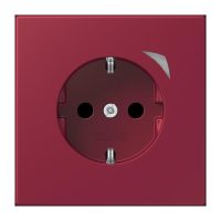 Jung BTLC1521S255 JUNG HOME SCHUKO Steckdose LC4320M
