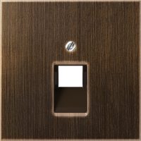 Jung Abdeckung Mess/antik f.IAE/UAE-/Datendose ME 2969-1 UA AT