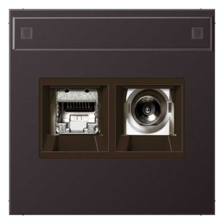 Jung Jung MMDAL4521D Smart-TV-Anschlussdose 2-fach mit Schriftfeld Aluminium lackiert LS d