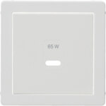 Berker 48606089 Z-ST für USB Q.x polar weiß m