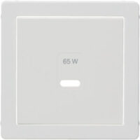 Berker 48606089 Z-ST für USB Q.x polar weiß m