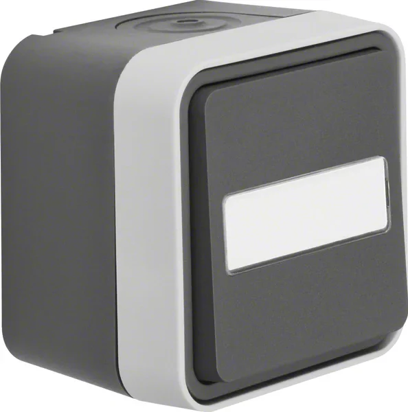 Berker Berker Taster Wechsler lichtgrau 50763555