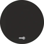 Berker Wippe schwarz/glänzend mit Aufdruck Tür 16202015
