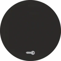 Berker Wippe schwarz/glänzend mit Aufdruck Tür 16202015