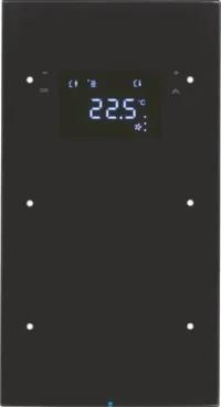 Berker Touchsensor 2-fach Glas schwarz 75642055