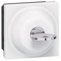 Legrand 077073 Schlüsselschalter Jalousie Ronis 2M Mosaic ultaweiß