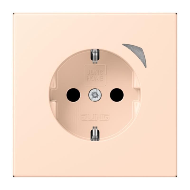 Jung Jung BTLC1521S228 JUNG HOME SCHUKO Steckdose LC32091