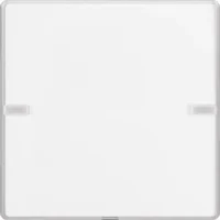 Berker Tastsensor 1-fach Komfort mit Beschriftungsfeld 80141321