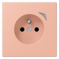 Jung BT LC 1521 F S 231 JUNG HOME Steckdose französisch/belgisches System