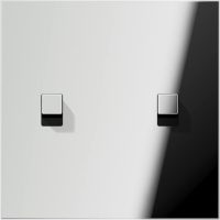 Jung Abdeckung mit Kipphebel 1fach, 2 Kipphebel GCR 12-5 E 22