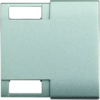 BTicino NT4911M2TN Wippe 2M f.2Symbole oben und unten Tech