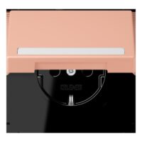 Jung LC1520BFNAKL231 SCHUKO-SteckdoseKI mit Klappdeckel mit S