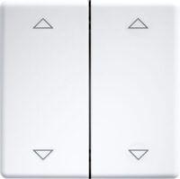Eltako Doppelwippe lasergraviert für 55x55mm reinweiß/glänz DW-FT55-wg+2P