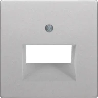 Berker Zentralstück alu/lackiert UAE-Steckdose 2-fach 14096084