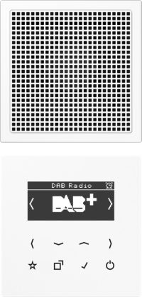 Jung Smart DAB+ Digitalradio Set Mono 1LS DAB LS1 WW