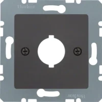 Berker Zentralplatte 18,8 mm anthrazit matt 14311606