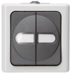 Kopp 560556003 Serienschalter AP-FR beleuchtet10AX 250V IP44 Blueelectric grau