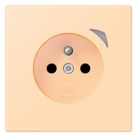 Jung BT LC 1521 F S 223 JUNG HOME Steckdose französisch/belgisches System
