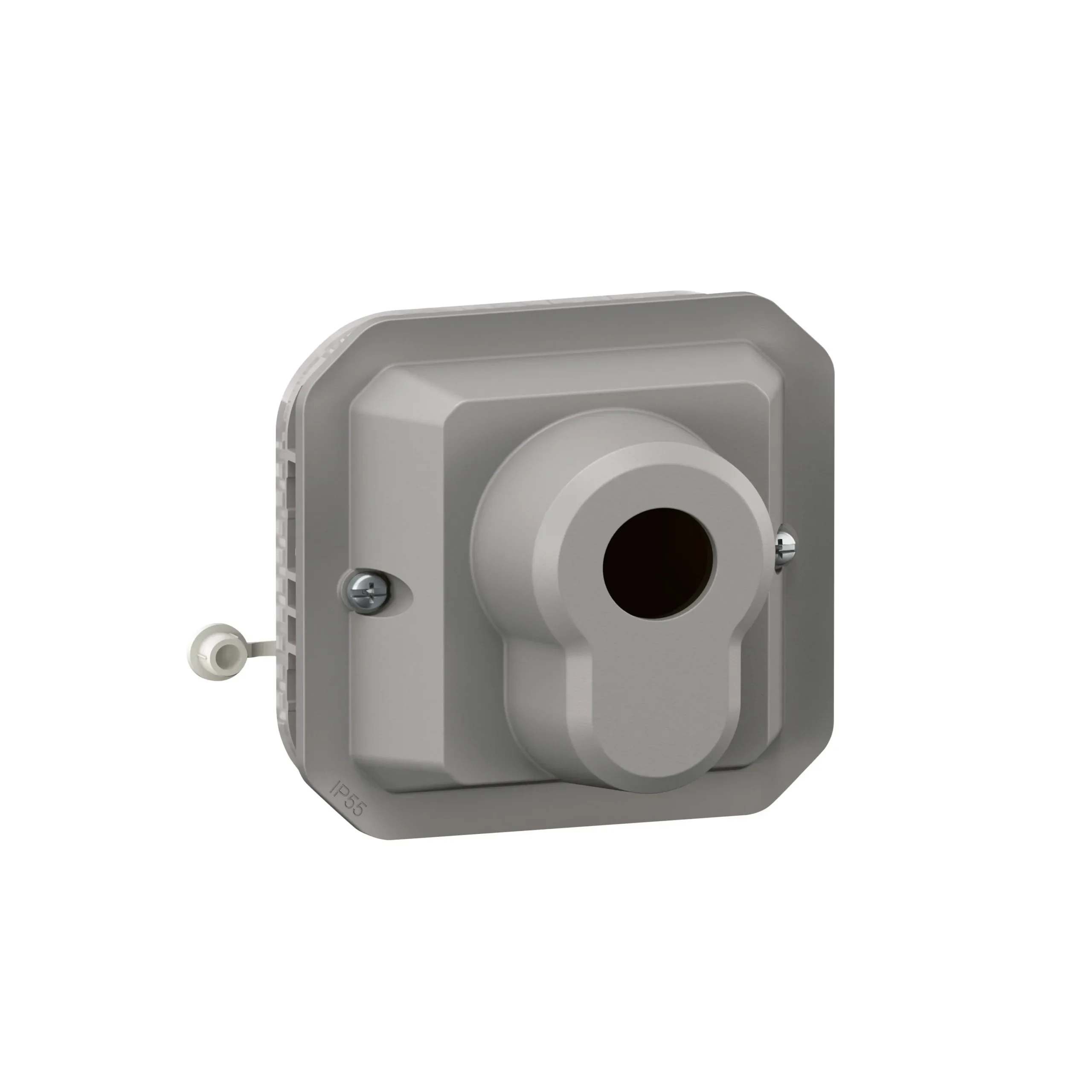 Legrand Legrand 069706L Plexo New Einsatz Schlüsselschalter DIN-Halbzylinder 2 Pos