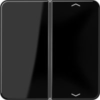 Jung Taste 1-fach sw Symbol Auf/Ab CD 401 TSAP SW