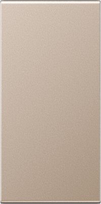 Jung Abdeckung in Tastenfarbe 25x55mm A 50NA CH
