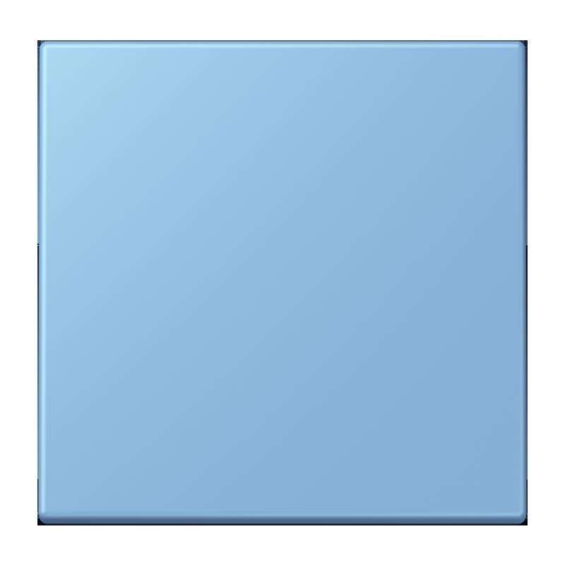 Jung Jung LC1700256 Steuertaste Standard LC4320N