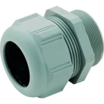 Legrand 384312 Verschraubung PSP PG11 D:5-10mm 5,5/5Nm RAL7001
