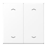 Jung LS 995 MP WWM Wippe 2-fach m.4 Pfeilsymbolen Serie LS schneeweiß matt