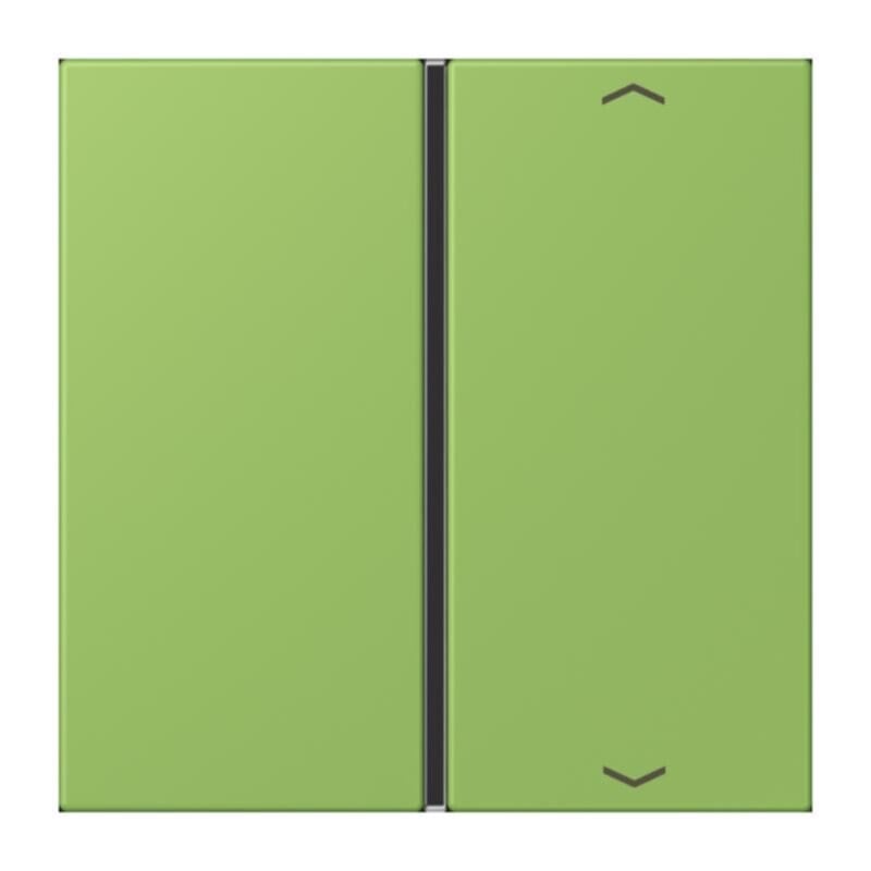 Jung Jung LC401TSAP220 Taste 1-fach Pfeil LC32051