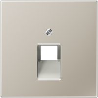 Jung Abdeckung eds für IAE/UAE-Dose ES 2969-1 UA