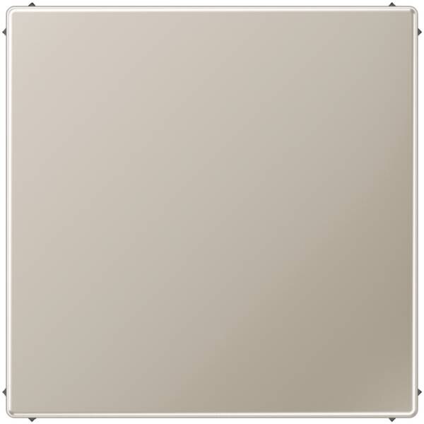 Jung Jung ES2994BPL Blind-Abdeckung o.Tragring verrastet LS Edelstahl