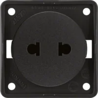 Berker Steckdose Euro Amerikani Standard 962572503