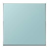 Jung LC1700214 Steuertaste Standard LC32033