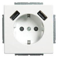 Busch-Jaeger SCHUKO-2x USB Steckdose 20 EUCB2USB-884