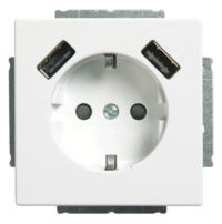 Busch-Jaeger SCHUKO-2x USB Steckdose 20 EUCB2USB-84